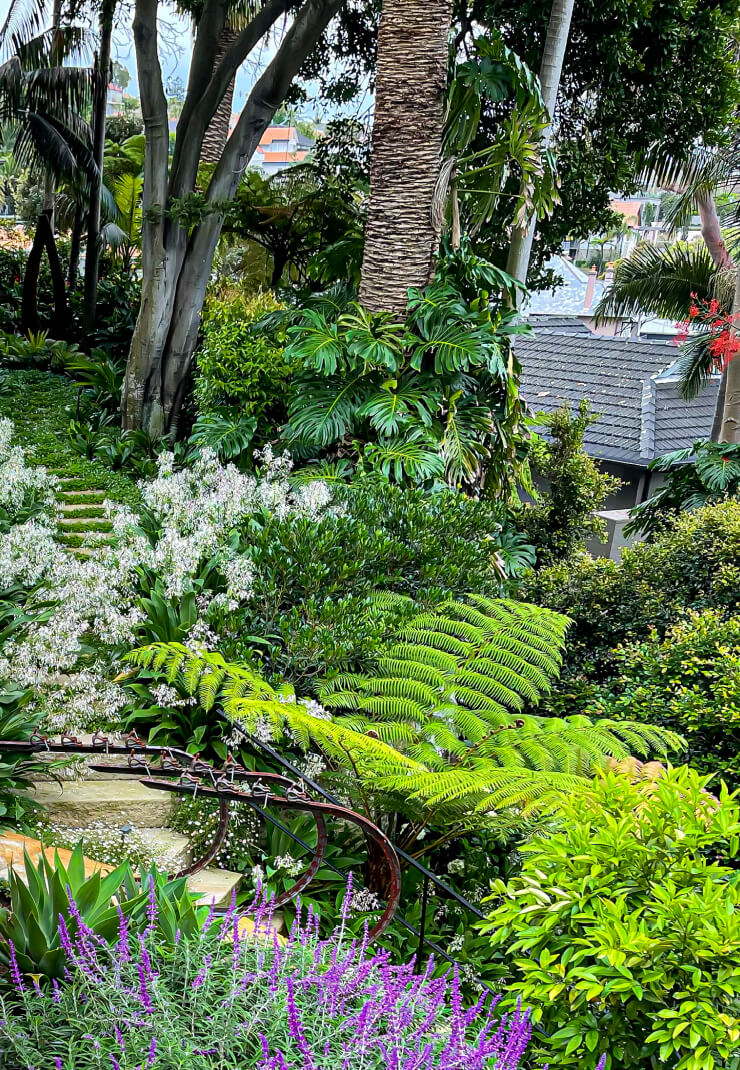 Garden Detail